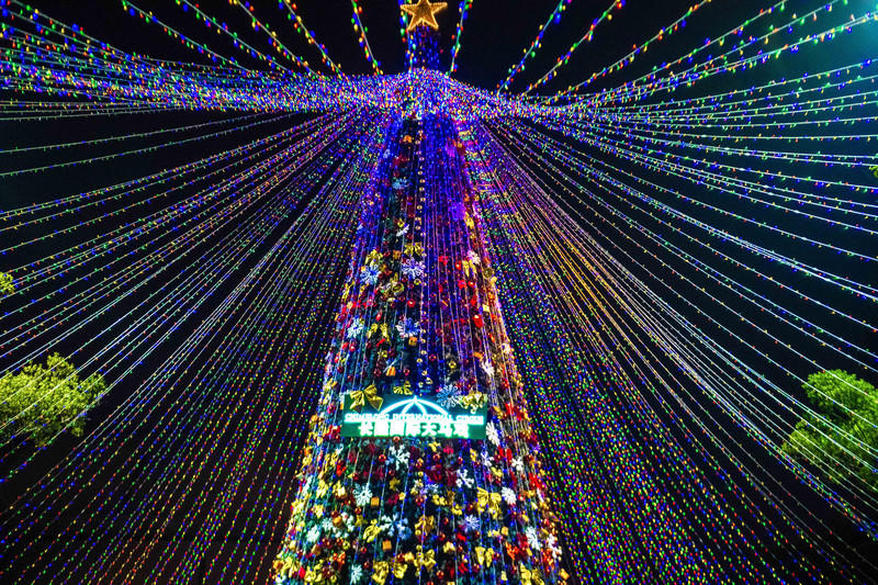 广州长隆野生动物世界旅游攻略,长隆野生动物世界攻略2-3天广州游