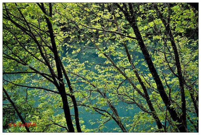 成都九寨沟几月份去好,九寨沟和稻城几月份去