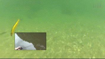 路亚VIB使用方法,路亚vib在何种情况下使用