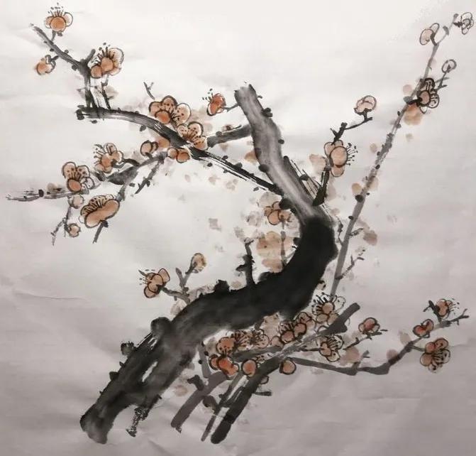国画写意梅韵教程,大写意梅韵国画