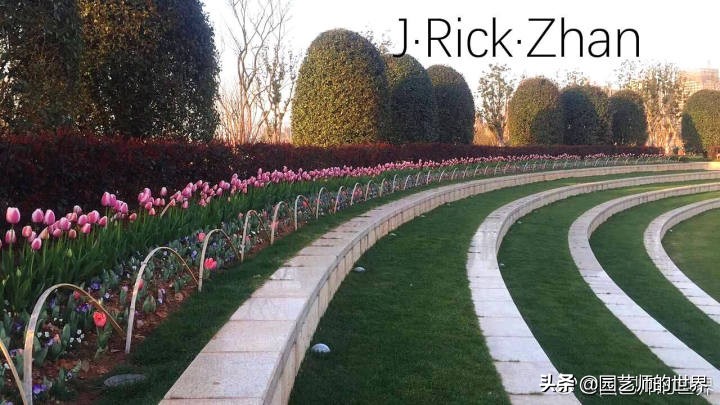 果岭草坪的种植养护方法及技巧,怎么种植一个可以躺的草坪