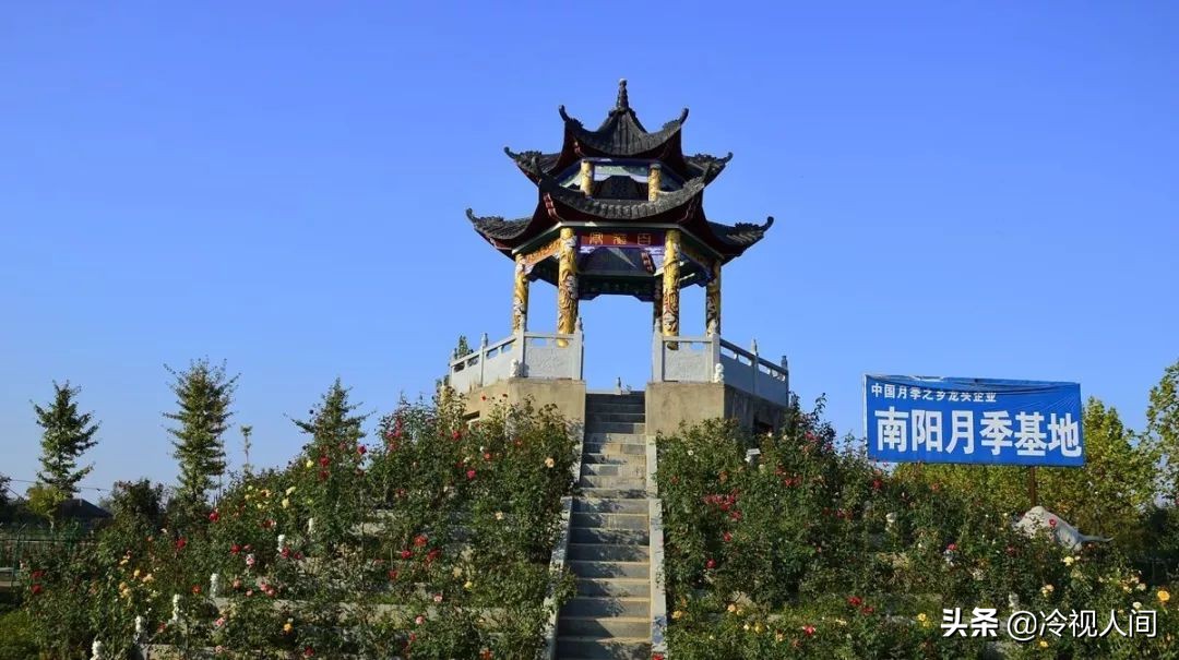 南阳怎样?看完你也会说“中!中!中!”