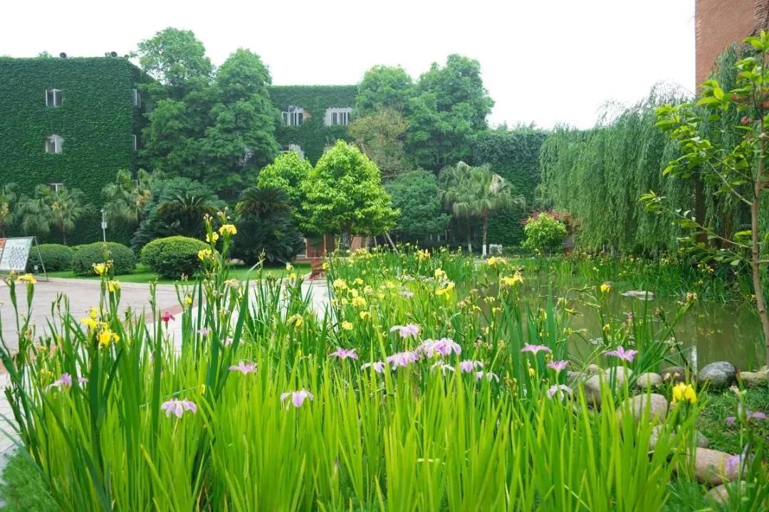 2023年四七九能全省招生吗,四七九中学外地招生条件