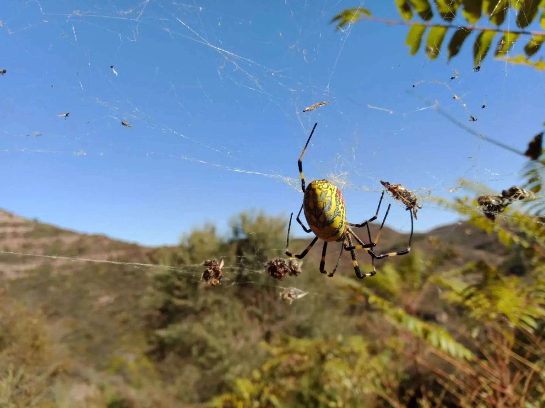 碧岩龙泉山庄,万柏林龙泉山庄