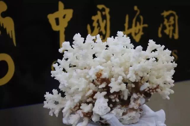 香港澳门出境不能多带的东西,去香港澳门哪些东西不能带