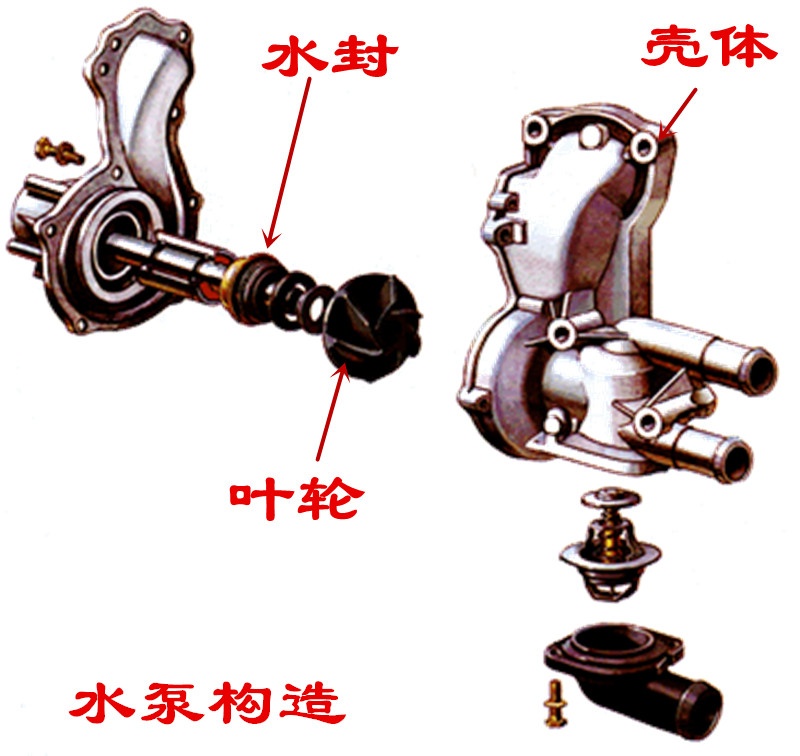 为什么汽车水泵叶片会烂掉,怎么判断汽车水泵叶片坏了