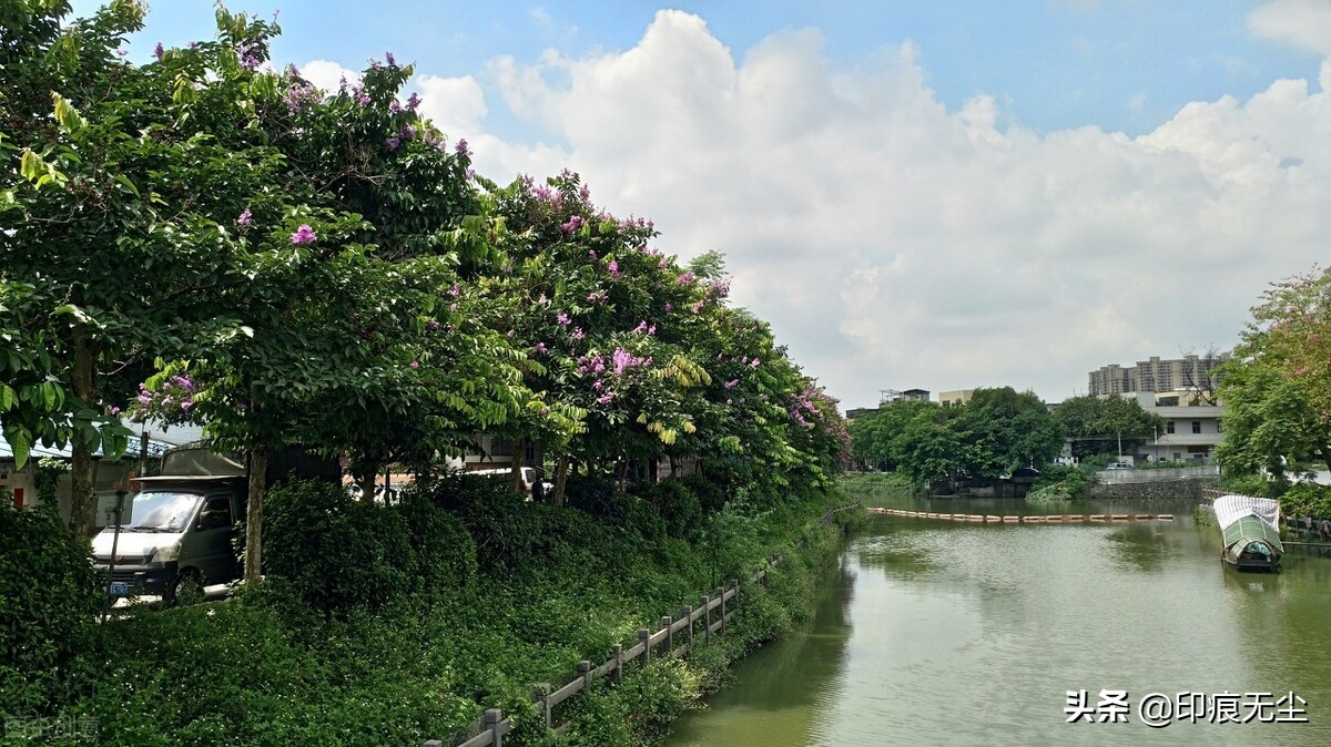 广州芳村｜“花鸟之乡”的千年，又有芳华几许？（上篇）