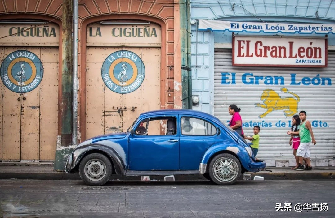 在这里你可以看到绚烂多彩的甲壳虫,因为他们是这里的精灵