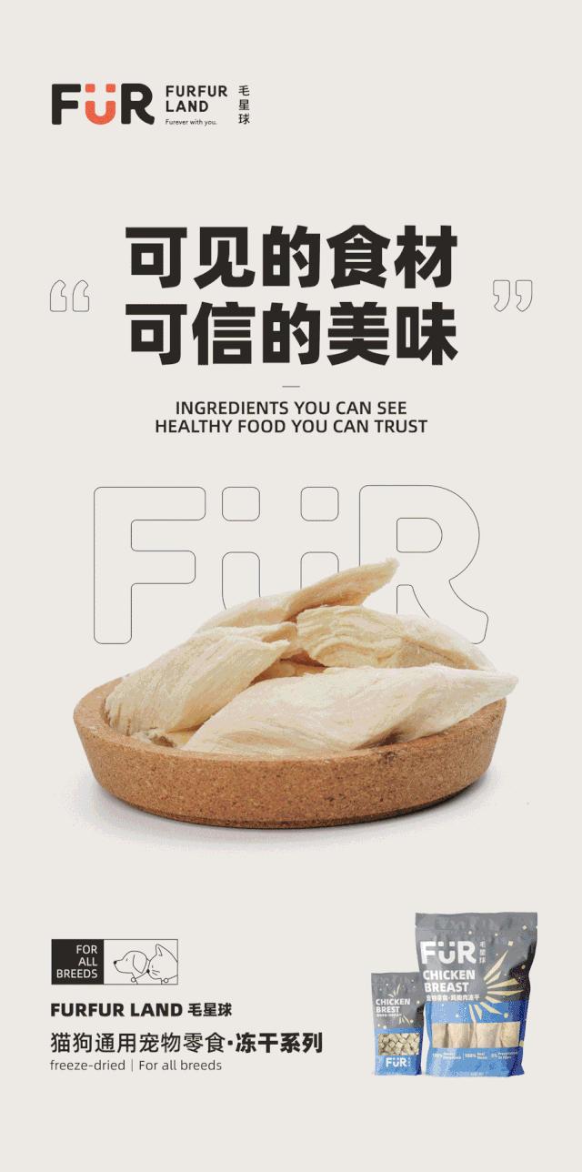 从铲屎官到创业者,他带领FURFURLAND销售额增长15倍