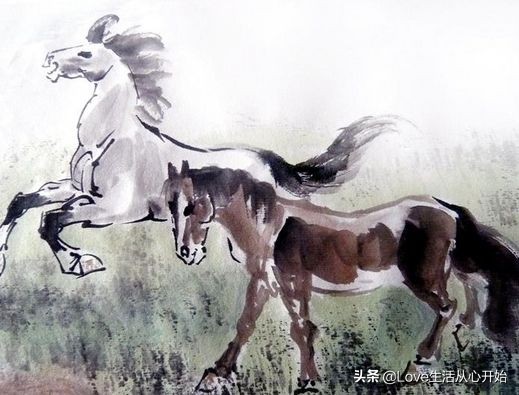 2022十二生肖属相运程,牛属相和十二生肖婚姻配对