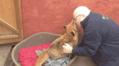 15岁怀孕,她被骗吃下*药炸**,一尸两命:有些人,这辈子不配为人