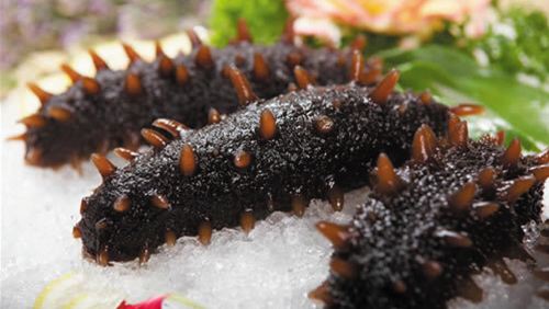 参老舅大连野生海参 (大连老曹野生海参)