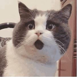 哪些车上路会被扣,哪些违法车辆会被扣留