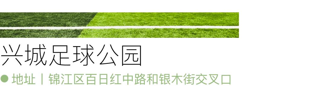 最好的足球场地是哪里,最好的足球场地在哪里