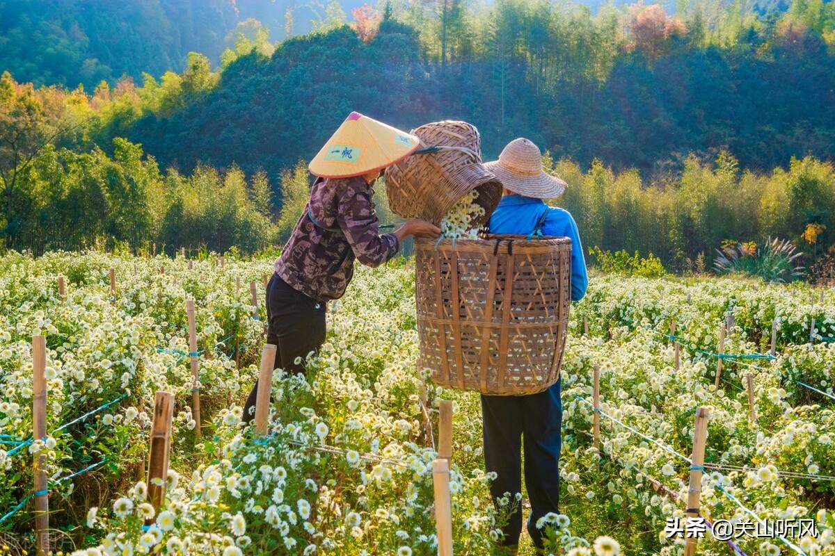 农村老话说：“挂帐怕遇三十六”，“三十六”有啥可怕的呢？