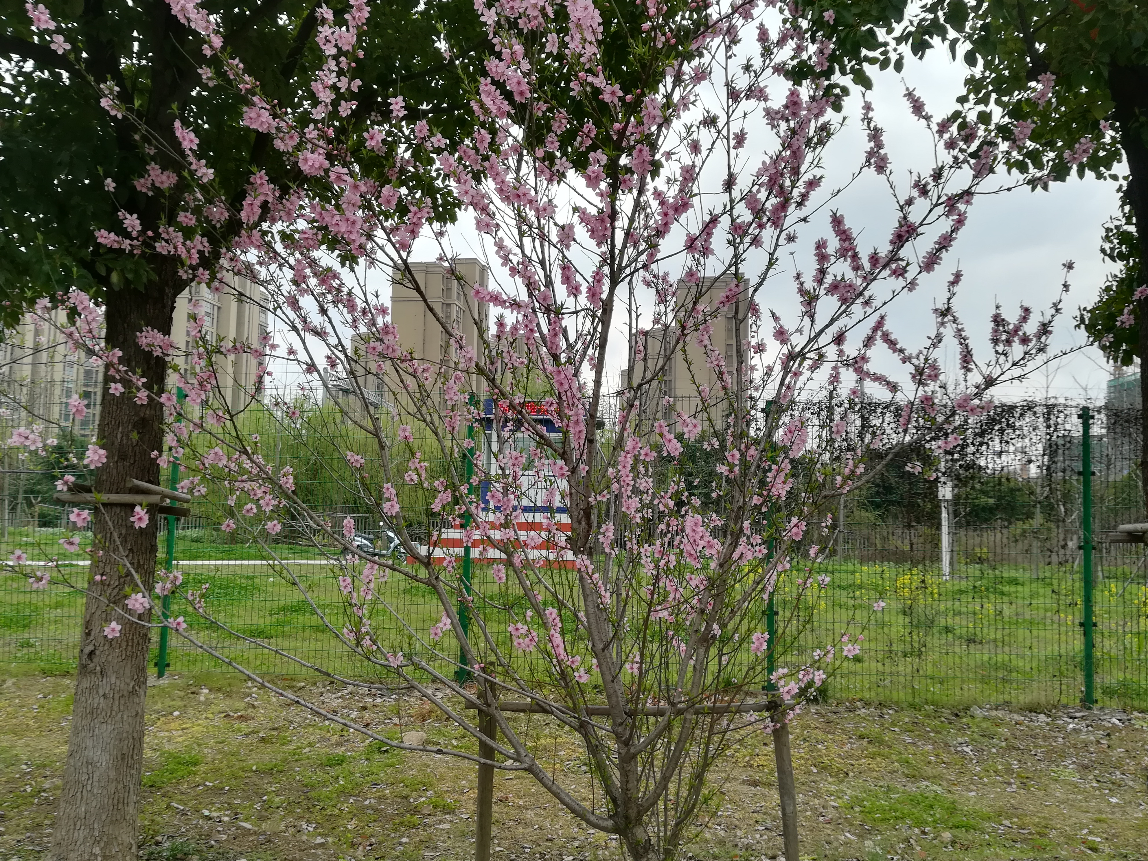 苏州越溪永旺梦乐城,苏州新区永旺梦乐城