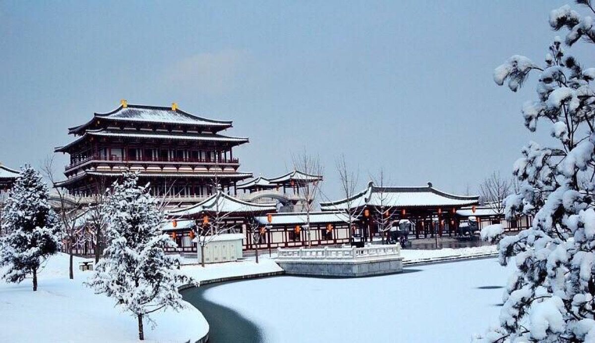 猛虎回笼记：从玄武门到十六王宅，唐朝亲王的权力变迁史