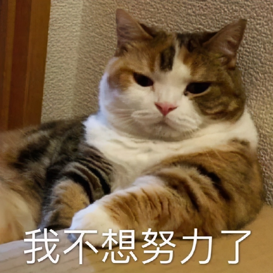 好困不想努力了表情包是什么意思,不想睡觉睡醒了就要上班了表情包