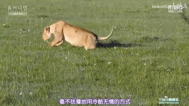 15岁怀孕的她，被骗吃下*药炸**，无辜去世：生而为人，有些人却不配