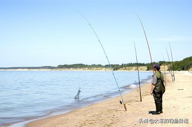 海竿怎样才能钓大鱼,海竿钓大鱼最有效的方法