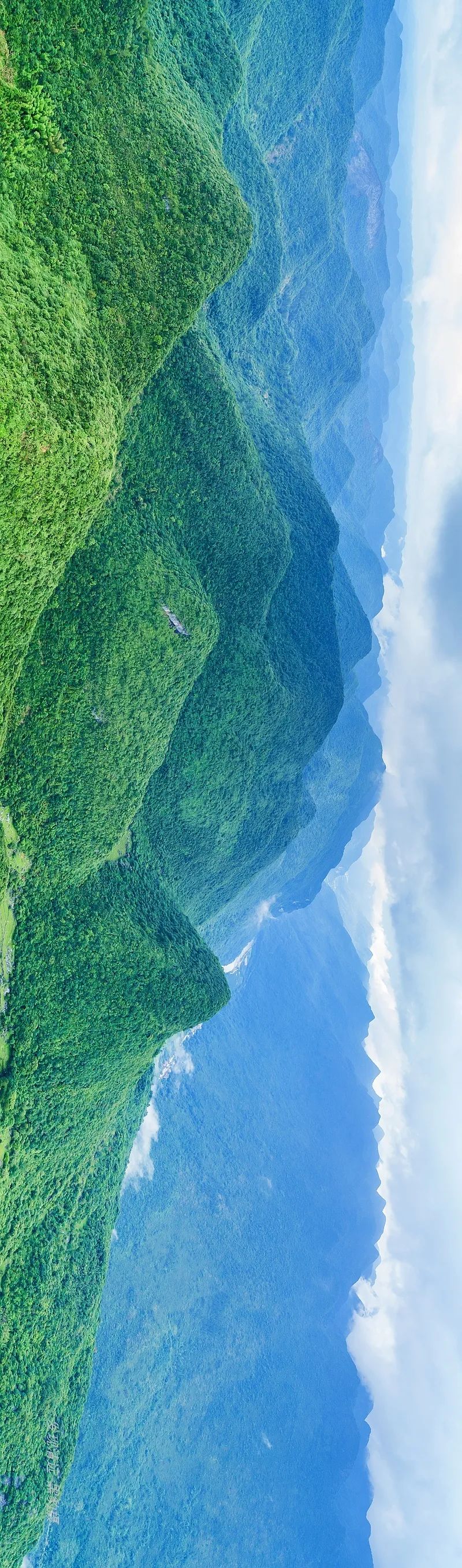 徒步穿越秦岭无人区,徒步穿越喀斯特森林