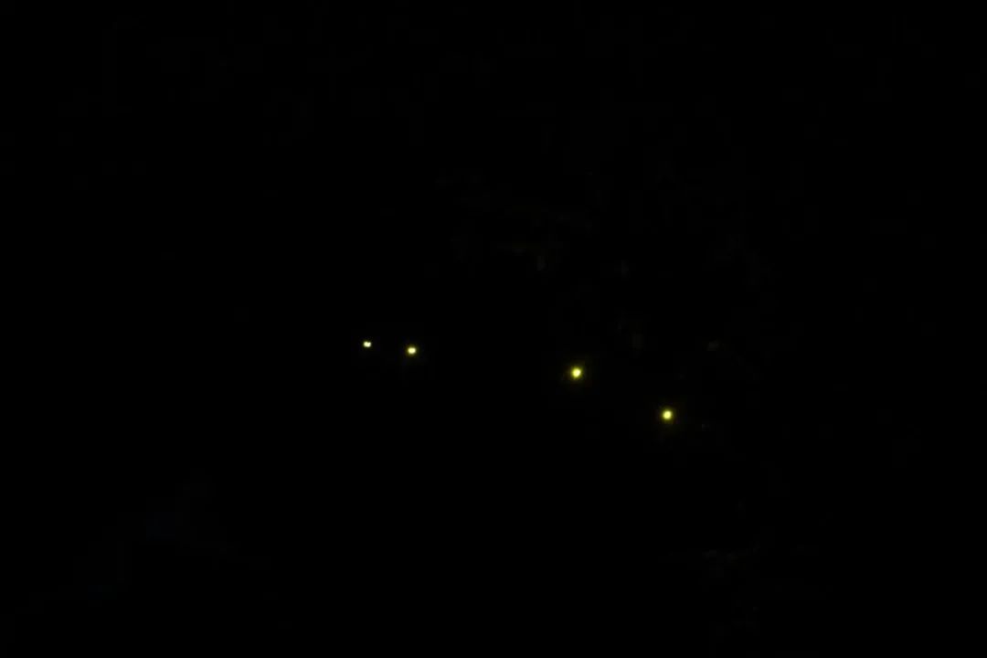 宝马8系双门碳纤维,宝马8系四门版的驾驶感受