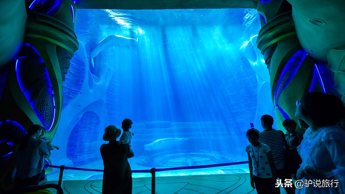 天房洲际与亚特兰蒂斯,天房洲际酒店和亚特兰蒂斯