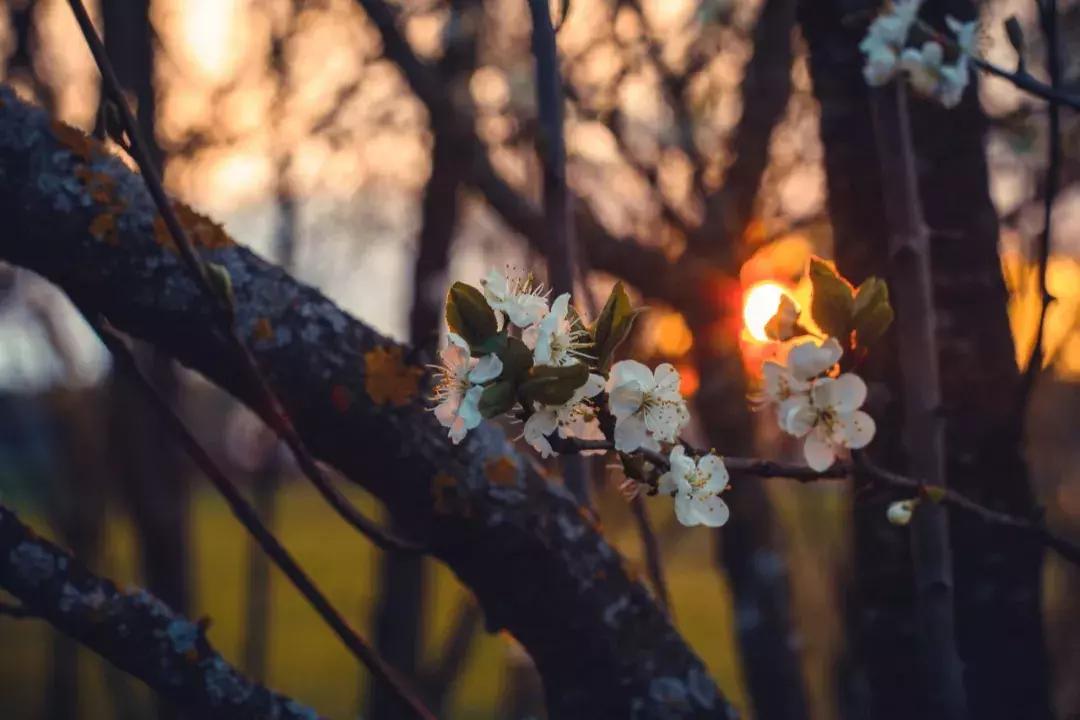 七情六欲可以用哪两个字表达,请问你对七情六欲怎么理解的