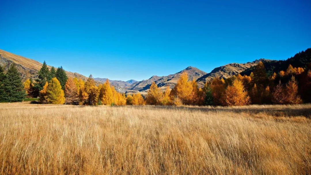 央视十大经典背景音乐,央视常用的16首经典背景音乐