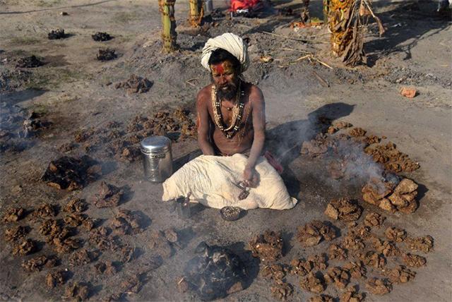 印度掏粪工死于什么病,印度掏粪工死亡人数