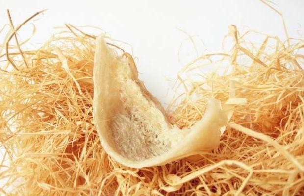 东京国立博物馆日本刀剑,日本东京国立博物馆日本国宝