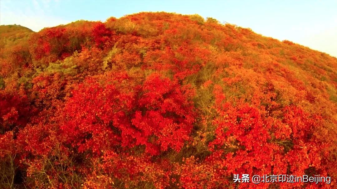 香山静宜园图片大全,香山静宜园二十八景