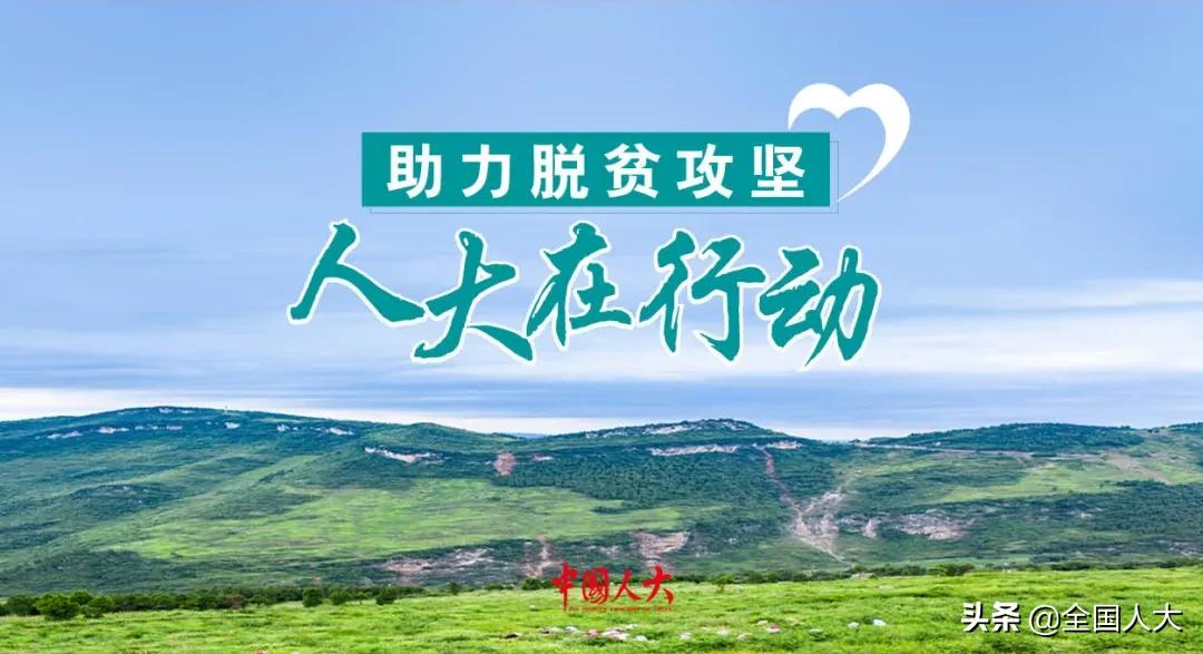 安徽为家乡江西助力,安徽人民为安徽文旅出谋划策