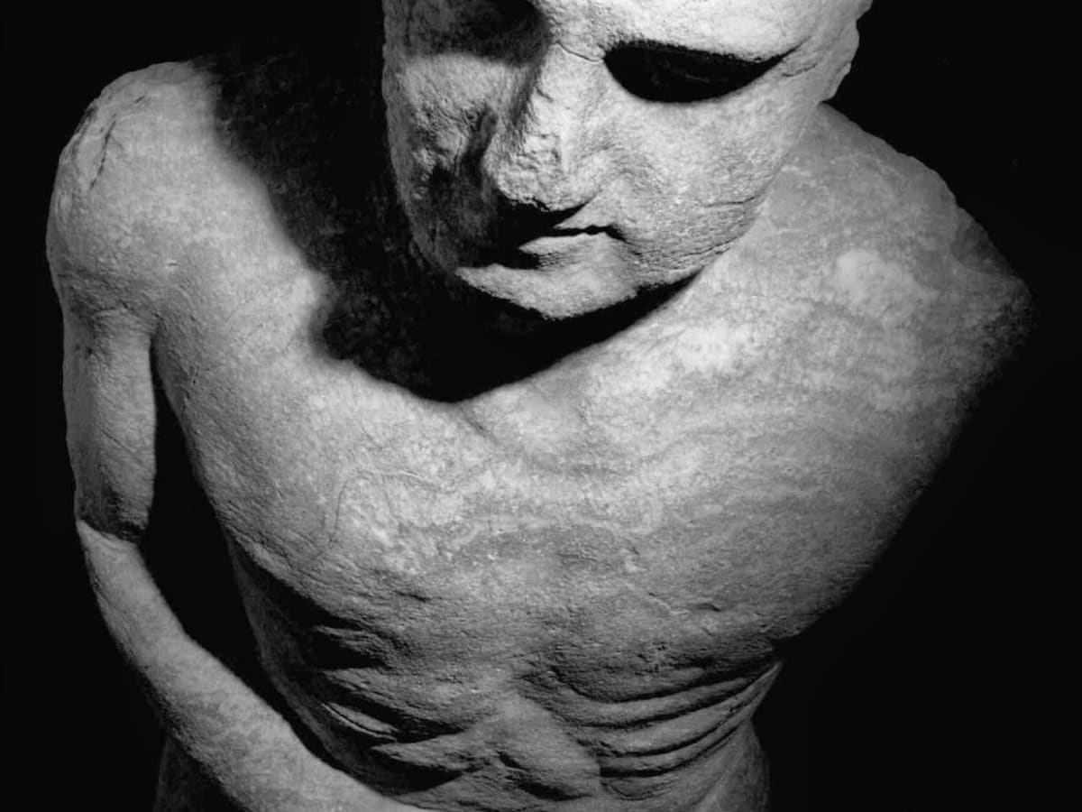 翼龙被拍到的真实视频,美国人抓了一只翼龙