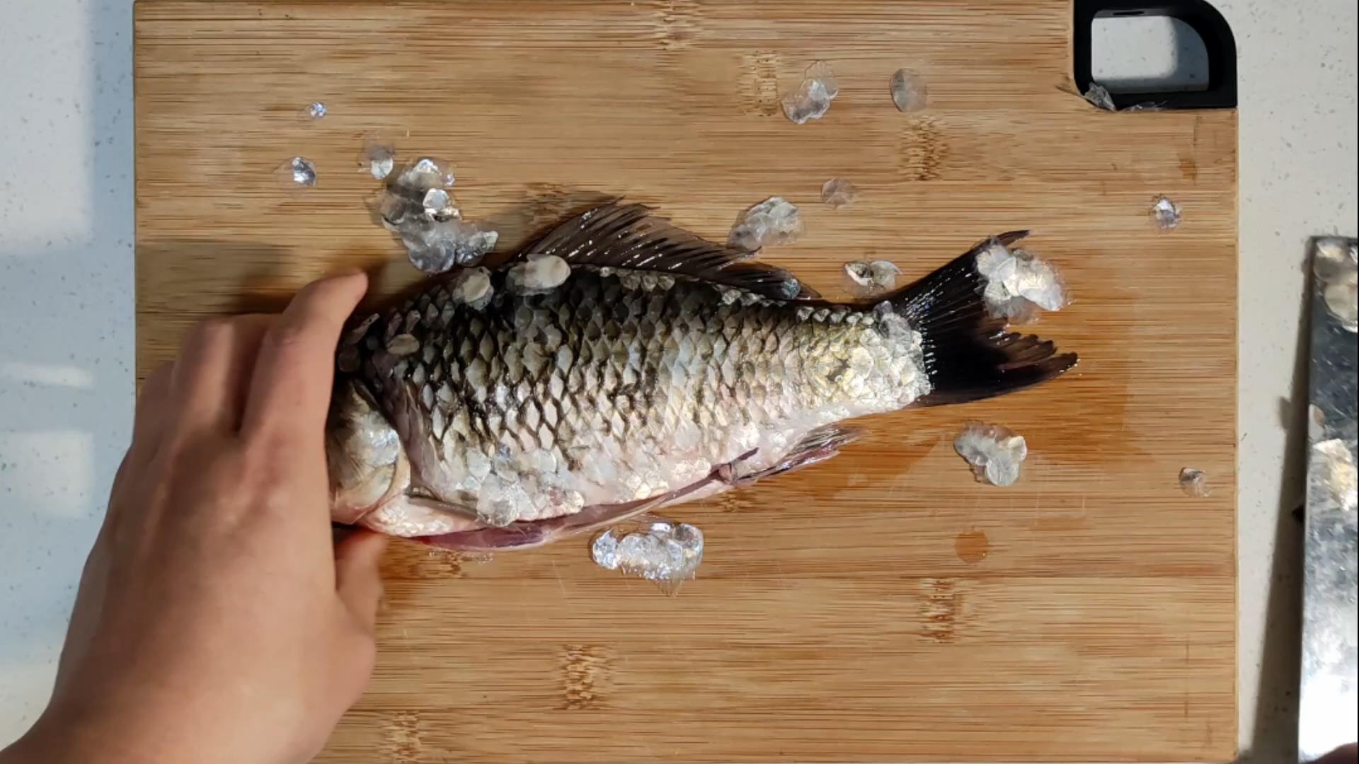 23年一级大厨分享鱼去鳞妙招，1个塑料袋，鱼鳞不飞溅不粘案板