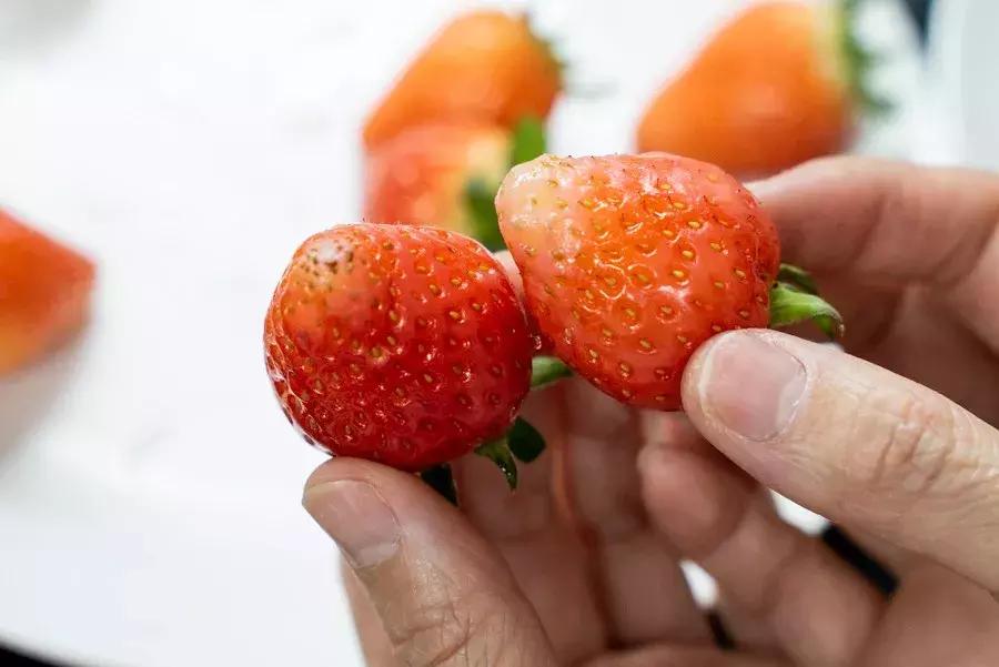 一下子吃了很多草莓,一下子吃了300g草莓