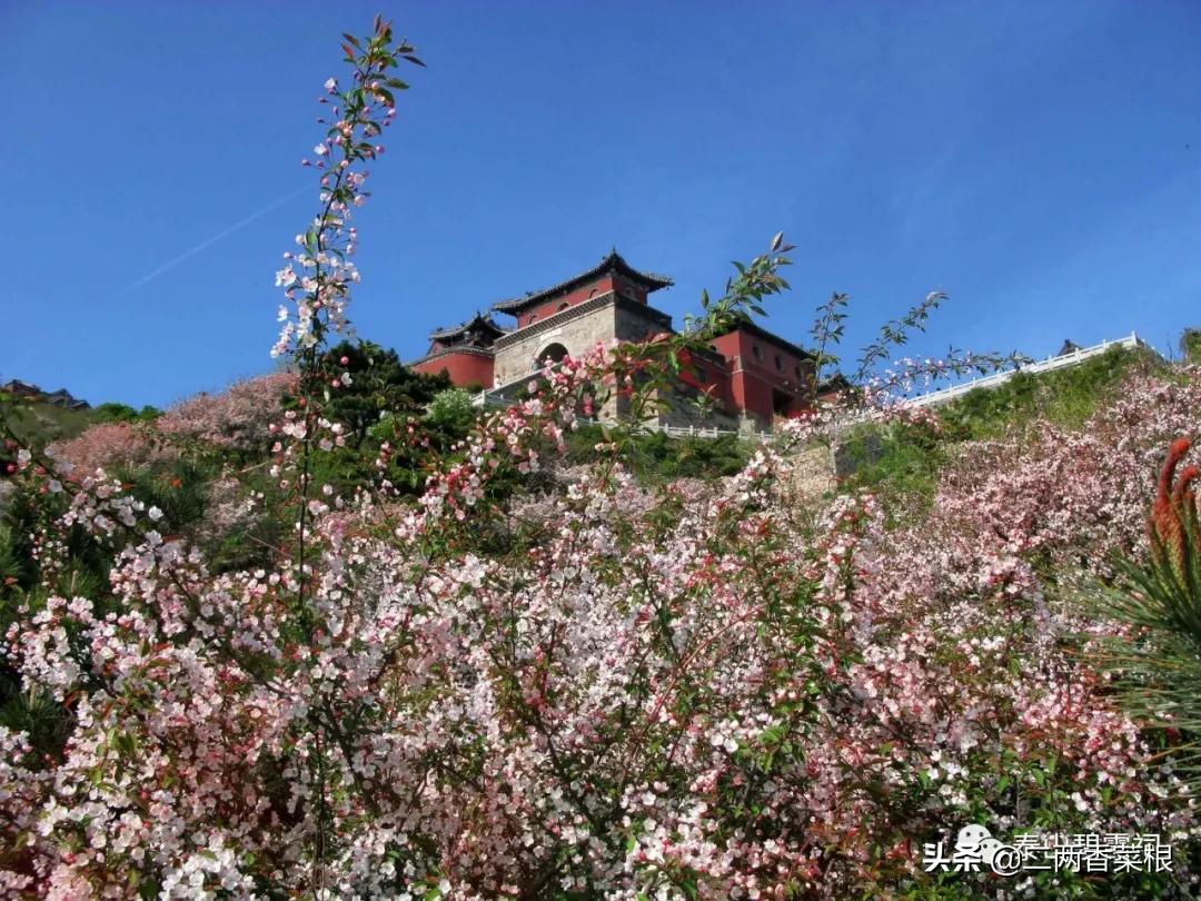 勿以身贵而贱别人,有一种修养叫从不炫耀