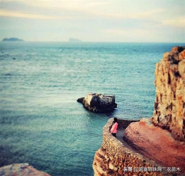 长岛值得去的渔家乐,长岛美丽的海岛