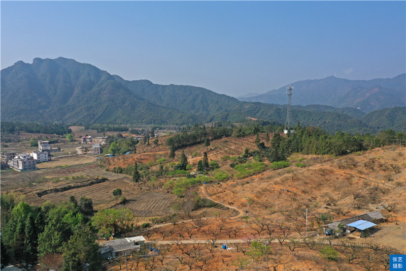 80后放弃广州高薪回家创业,放弃深圳高薪回家农村创业