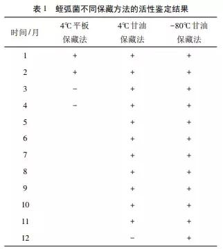 噬菌蛭弧菌怎么活化,噬菌蛭弧菌活力检测方法