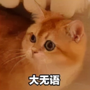 张杰和谢娜前几年的婚姻,张杰和谢娜公布恋情大家的看法