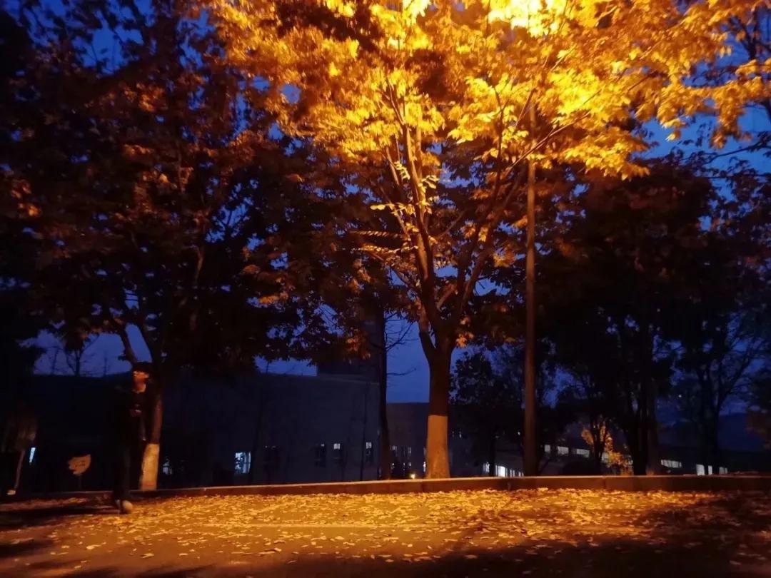 辽宁省民办大学（二）大连东软信息学院