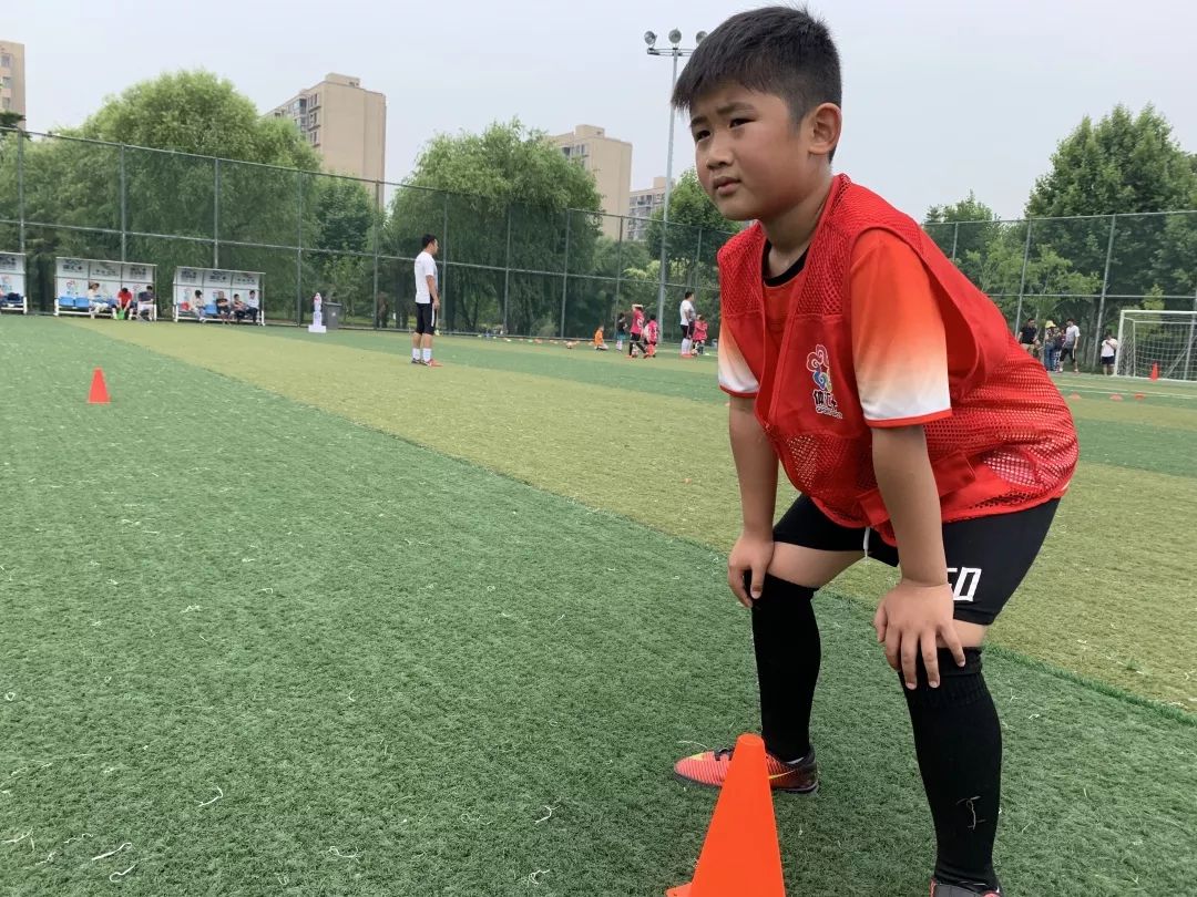 父亲节有话说,父亲节不能说什么