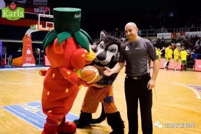 用一颗草莓吸引5百万游客,开5家主题乐园、4家超市、300个草莓屋