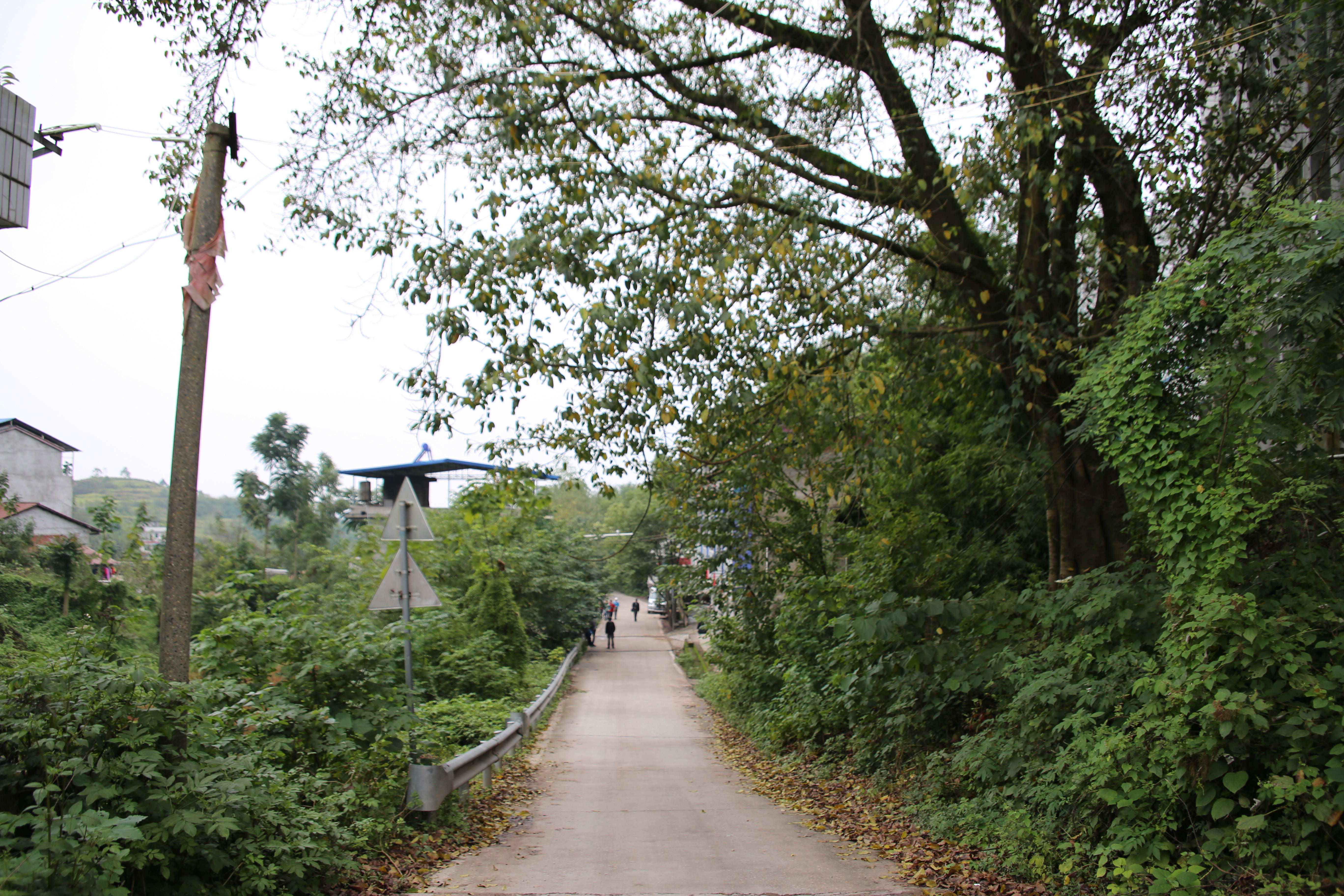 广安消失的公社--保华公社