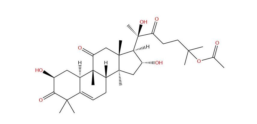 沙漠里有西瓜为何无人敢吃,沙漠里遍地是西瓜为何无人敢吃