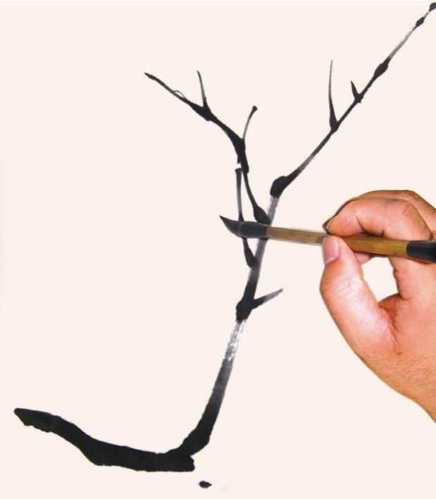 国画教程零基础入门树的画法,国画花卉线稿教程大全