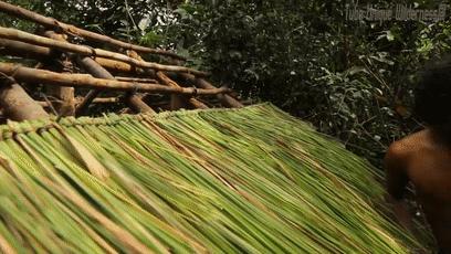 木棍怎么挖出泳池,一根棍子挖出一个游泳池