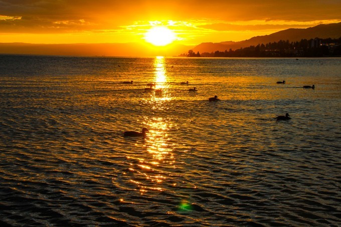 瑞士蒙特勒镇旅游攻略,蒙特勒小镇美景