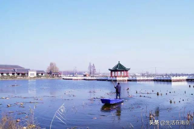 2019年南京美丽乡村游,南京周边美丽乡村游推荐